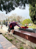 100 лет со дня рождения Героя Советского Союза Павловского Ильи Михайловича